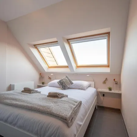 Bright Seaview With Terrace In Apartment Ostend